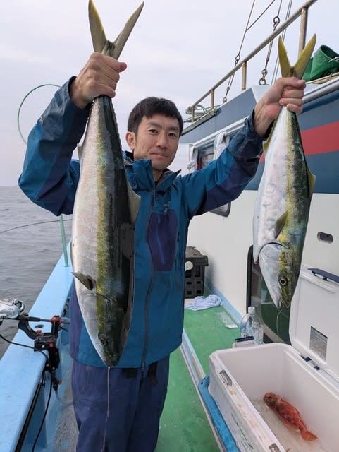 ブリ・ワラサ(ブリ)