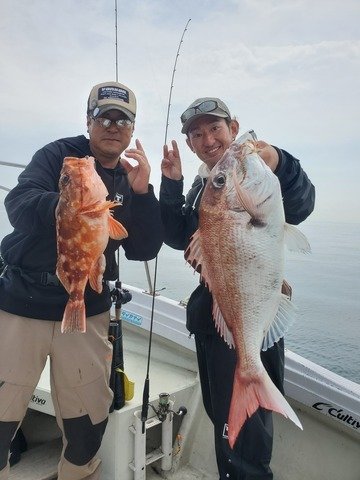 マダイ・カンコ(ウッカリカサゴ)