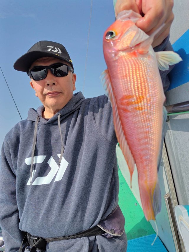 アマダイ(アカアマダイ)