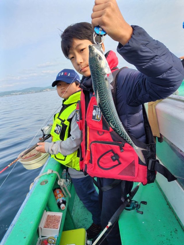 サバ(ゴマサバ)