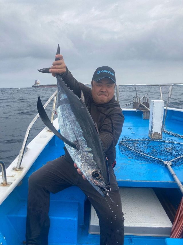 トンボ(ビンナガ)