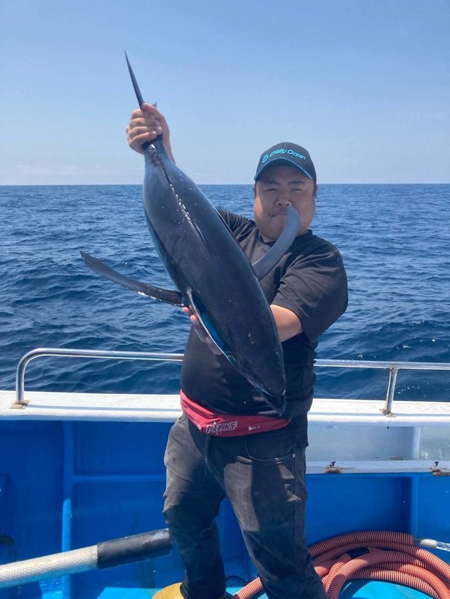 トンボ(ビンナガ)