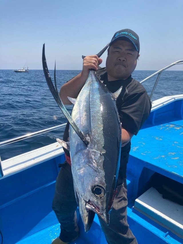 トンボ(ビンナガ)