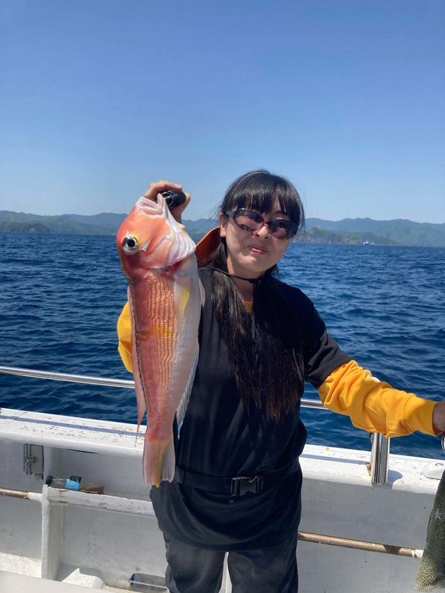 アマダイ(アカアマダイ)