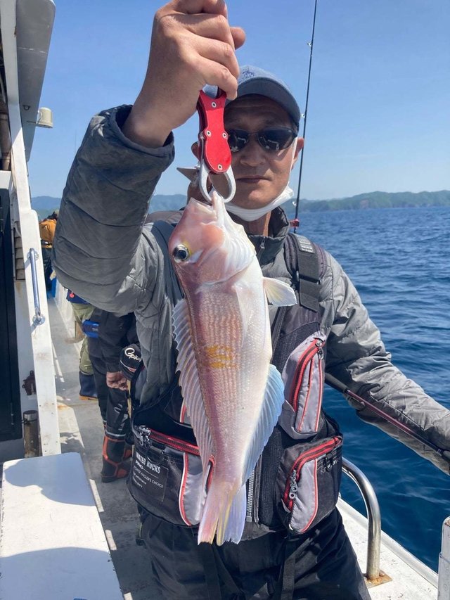 アマダイ(アカアマダイ)