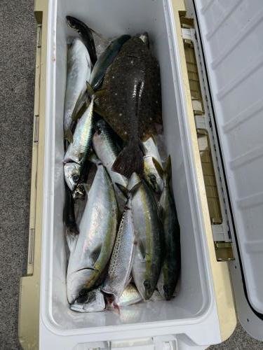 アジ(マアジ)・ワカシ(ブリ)・タチウオ・ソイ(クロソイ)・アイナメ・ヒラメ・イナワラ(ブリ)・サバ(ゴマサバ)