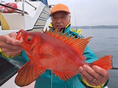 キントキ(チカメキントキ)