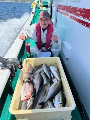 イサギ(イサキ)