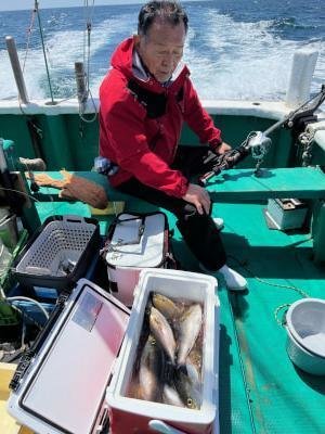 イサギ(イサキ)