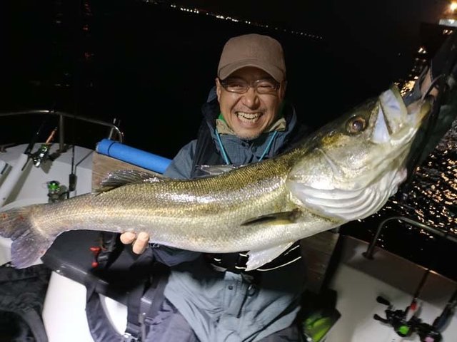 シーバス(スズキ)