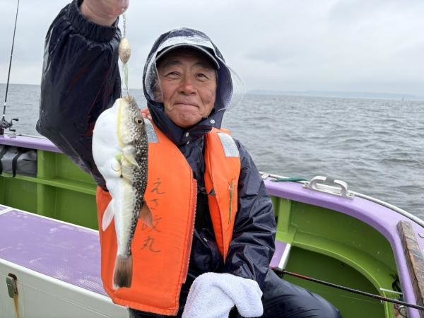 ショウサイフグ