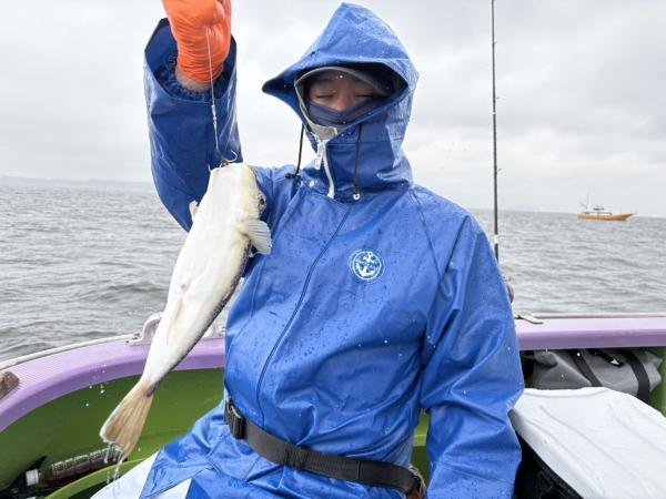 ショウサイフグ