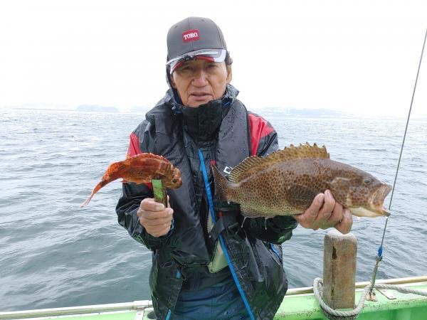 キジハタ・カサゴ