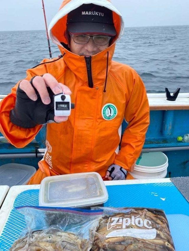 ムギイカ(スルメイカ)