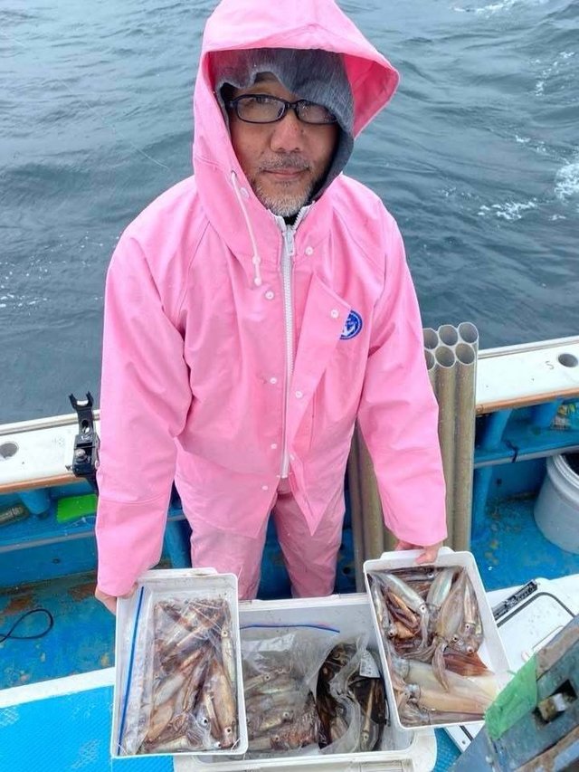 ムギイカ(スルメイカ)