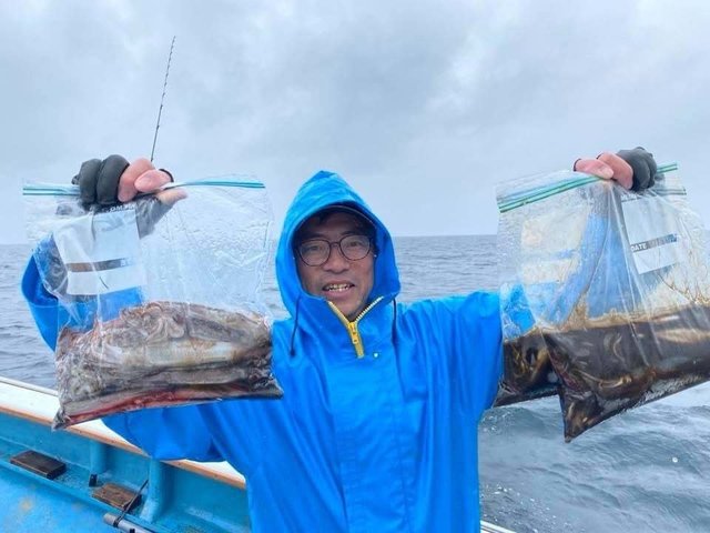 ムギイカ(スルメイカ)