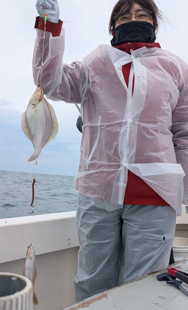 カレイ(マコガレイ)