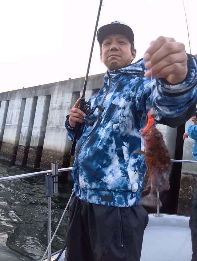 ガシラ(カサゴ)