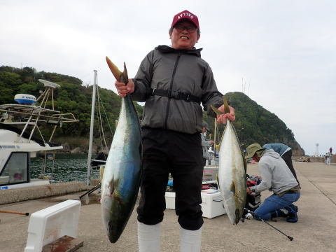 ブリ・ヒラマサ