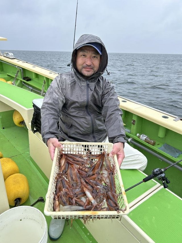 ムギイカ(スルメイカ)