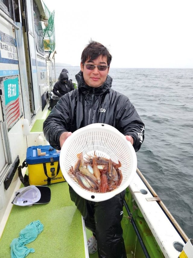 ムギイカ(スルメイカ)