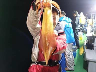 マイカ(ケンサキイカ)