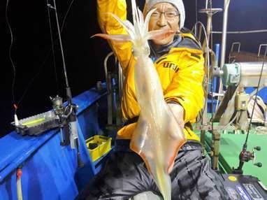 マイカ(ケンサキイカ)