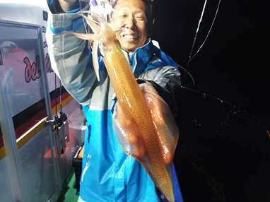 マイカ(ケンサキイカ)