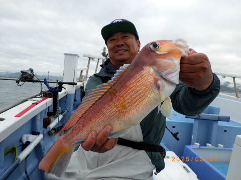 アマダイ(アカアマダイ)