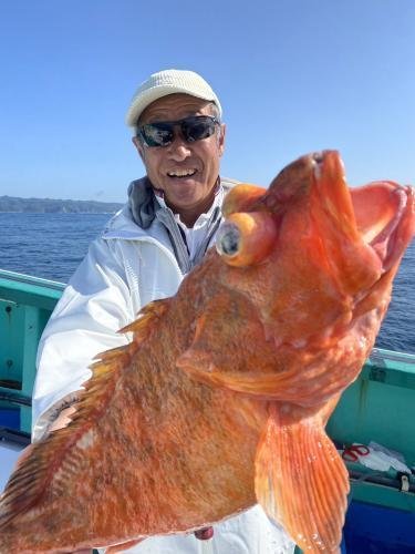 ウッカリカサゴ