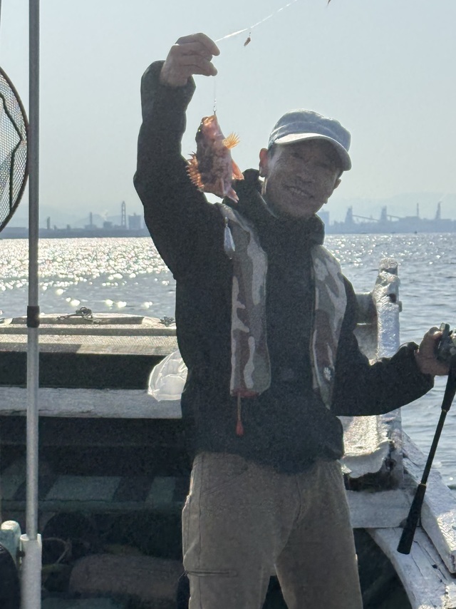 ガシラ(カサゴ)