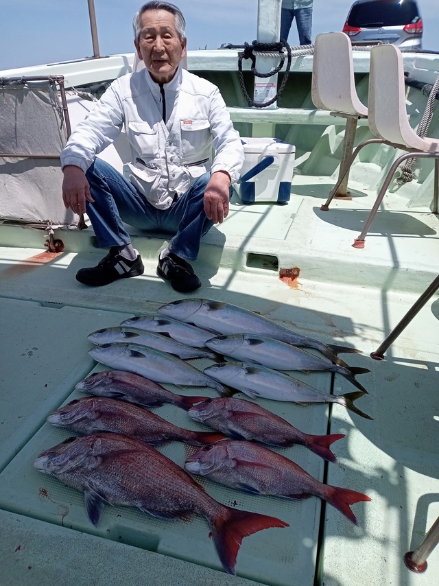 マダイ・ハマチ(ブリ)・メジロ(ブリ)