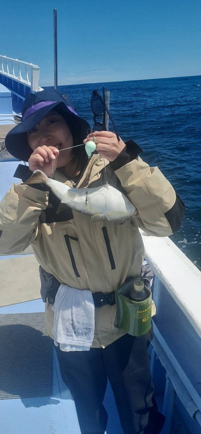 ショウサイフグ