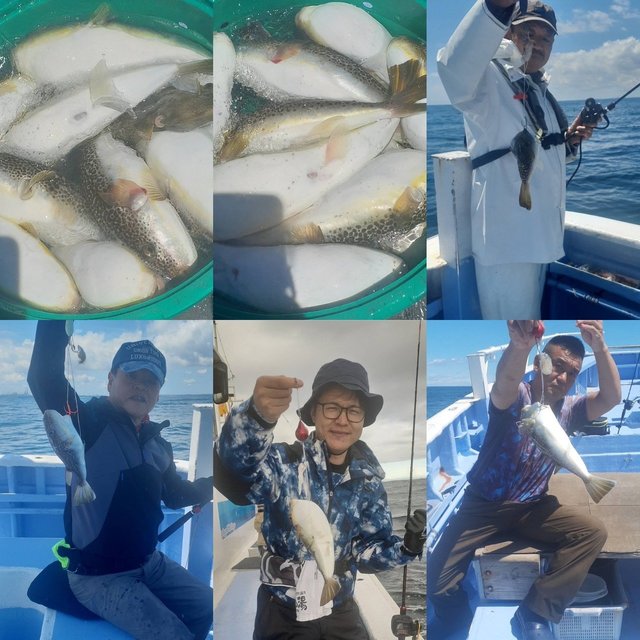 ショウサイフグ