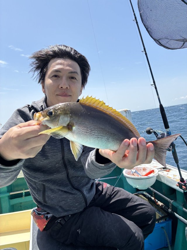 イサギ(イサキ)