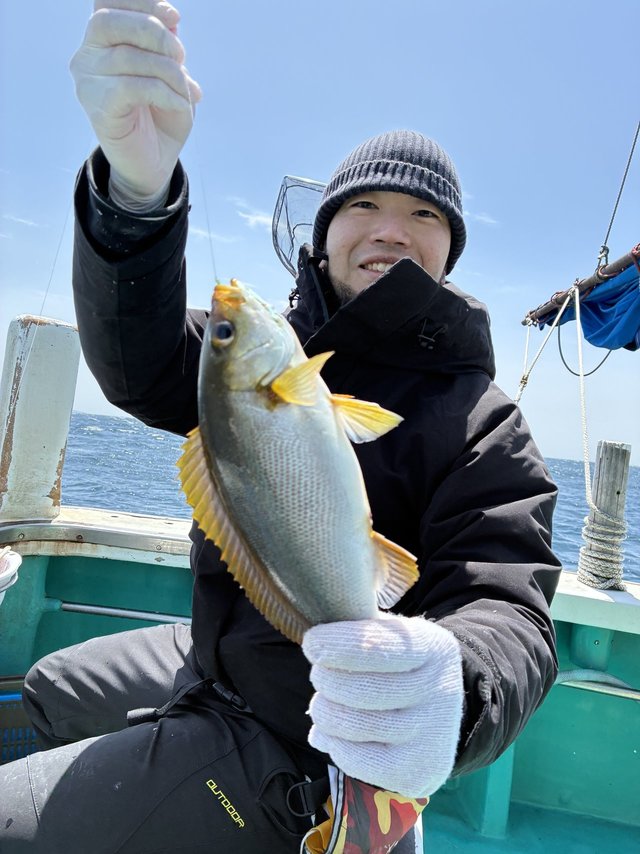 イサギ(イサキ)