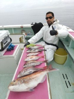 マダイ・クロダイ