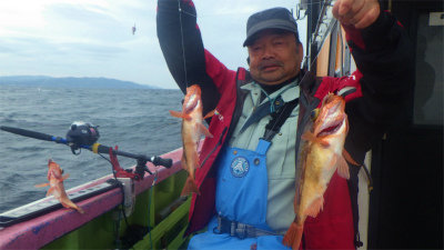 オキメバル(ウスメバル)