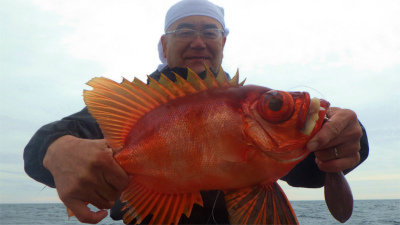 チカメキントキ