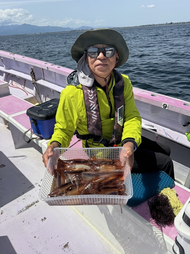 ムギイカ(スルメイカ)