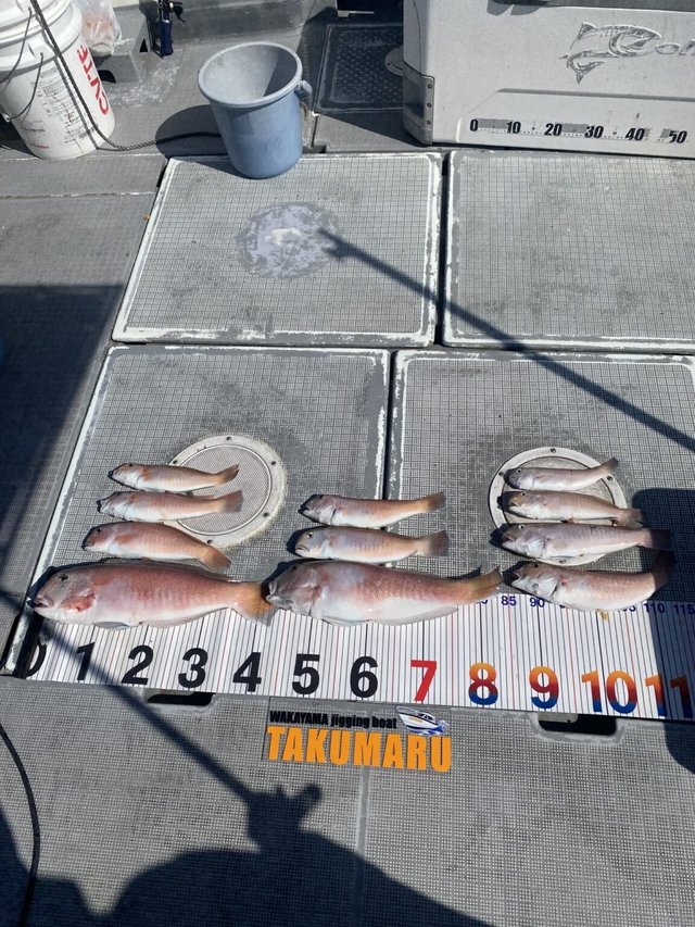 アマダイ(アカアマダイ)