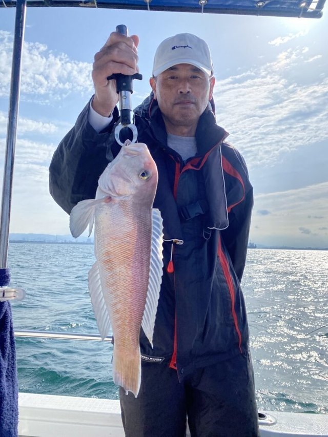 アマダイ(アカアマダイ)