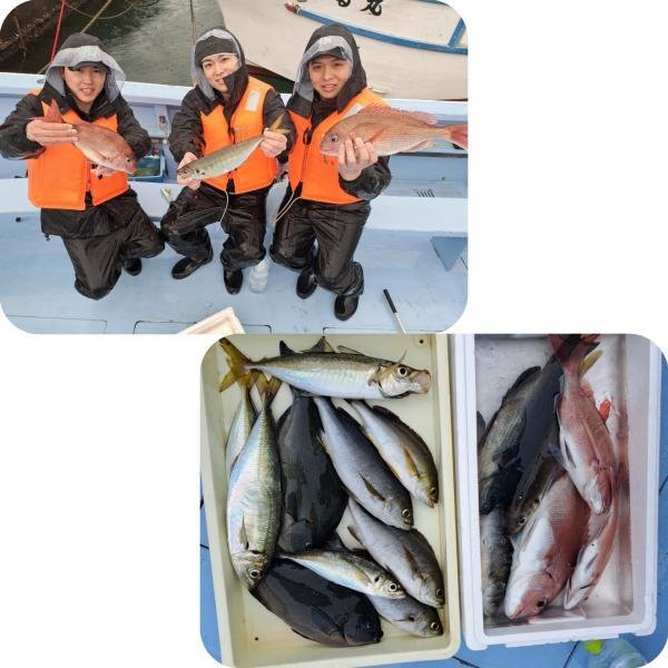 マダイ・アジ(マアジ)・イサキ