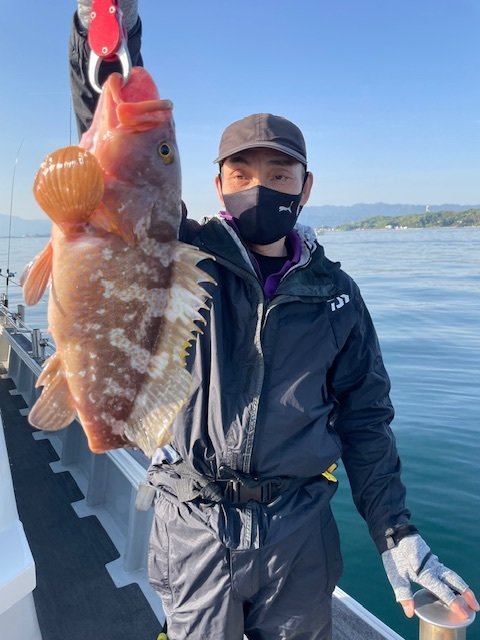 アコウ(キジハタ)