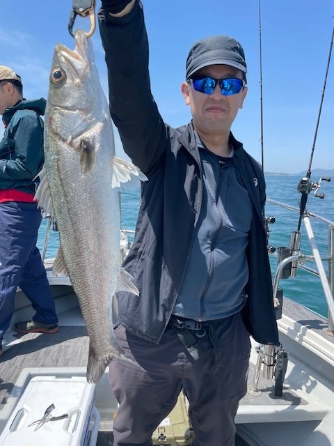 シーバス(スズキ)