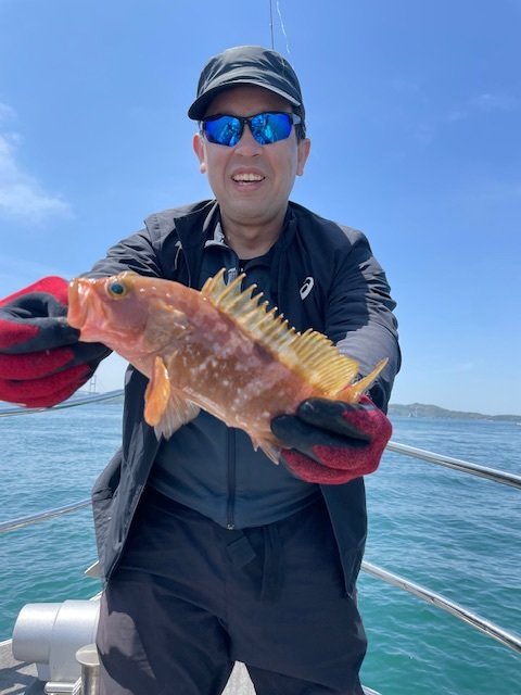 アコウ(キジハタ)