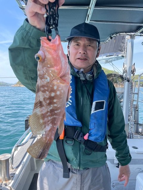 アコウ(キジハタ)