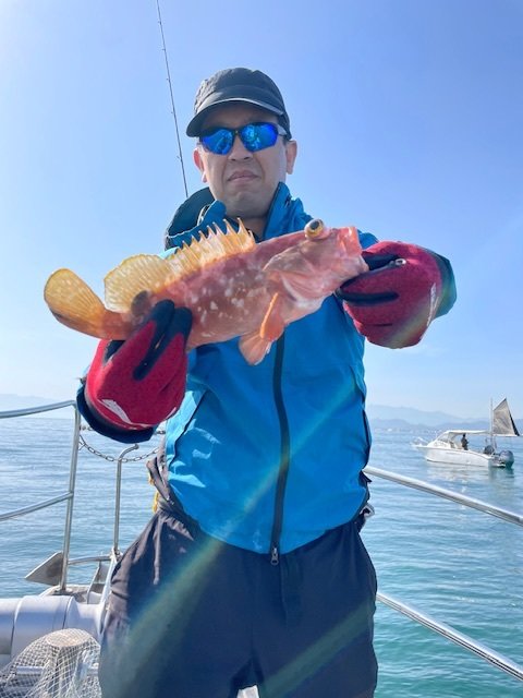 アコウ(キジハタ)