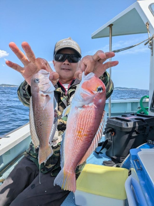 アマダイ(アカアマダイ)