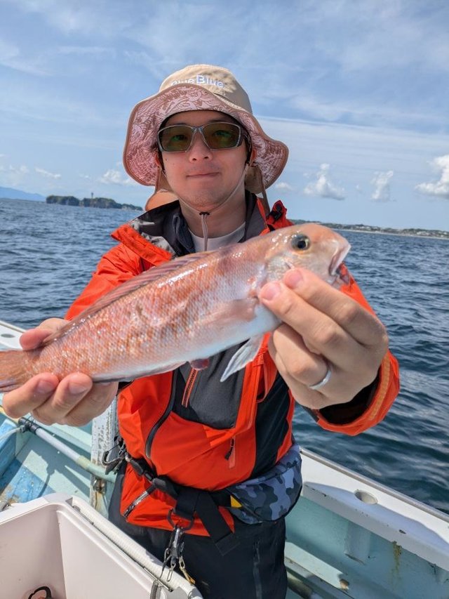 アマダイ(アカアマダイ)